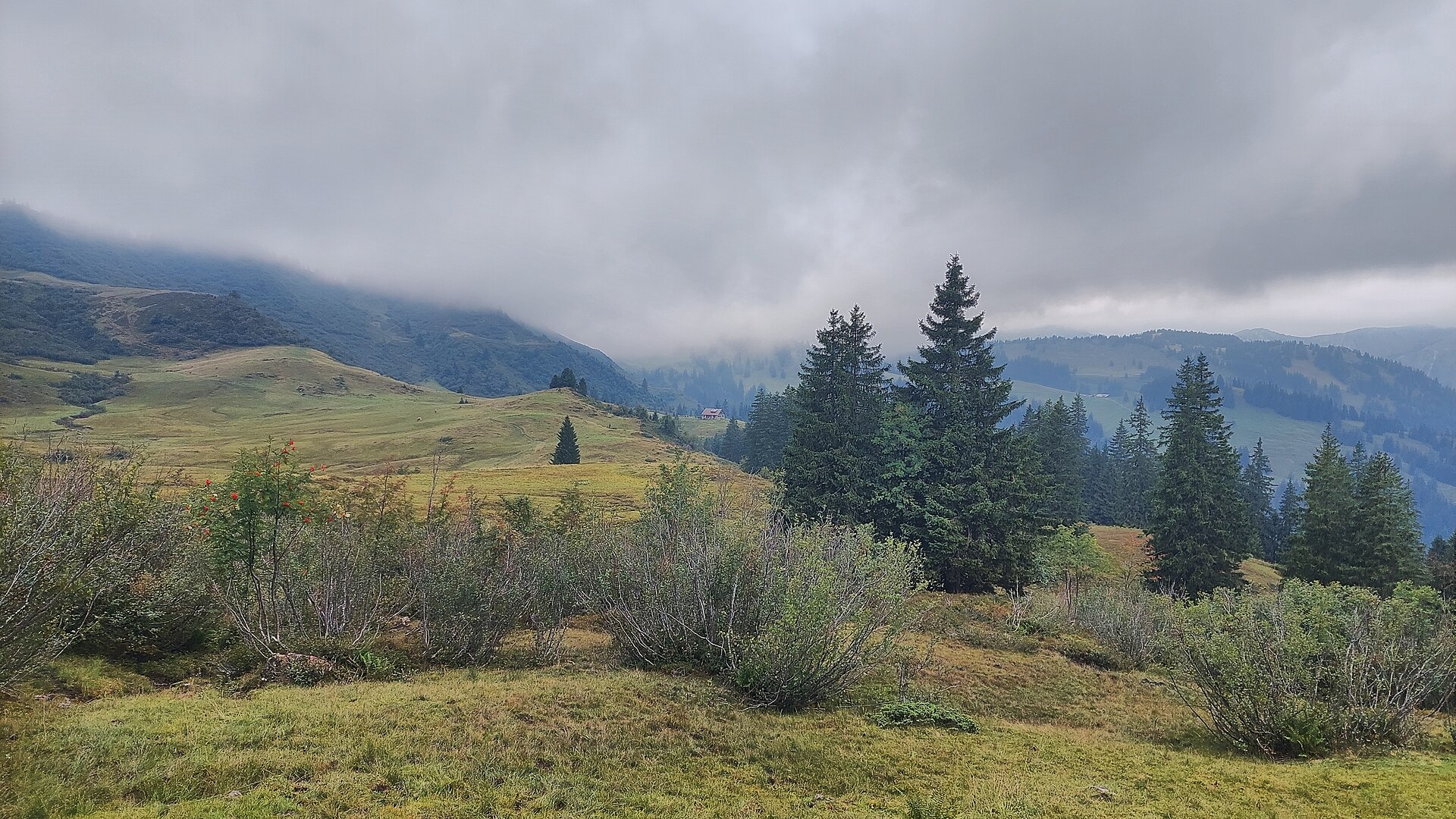 Huette Alm