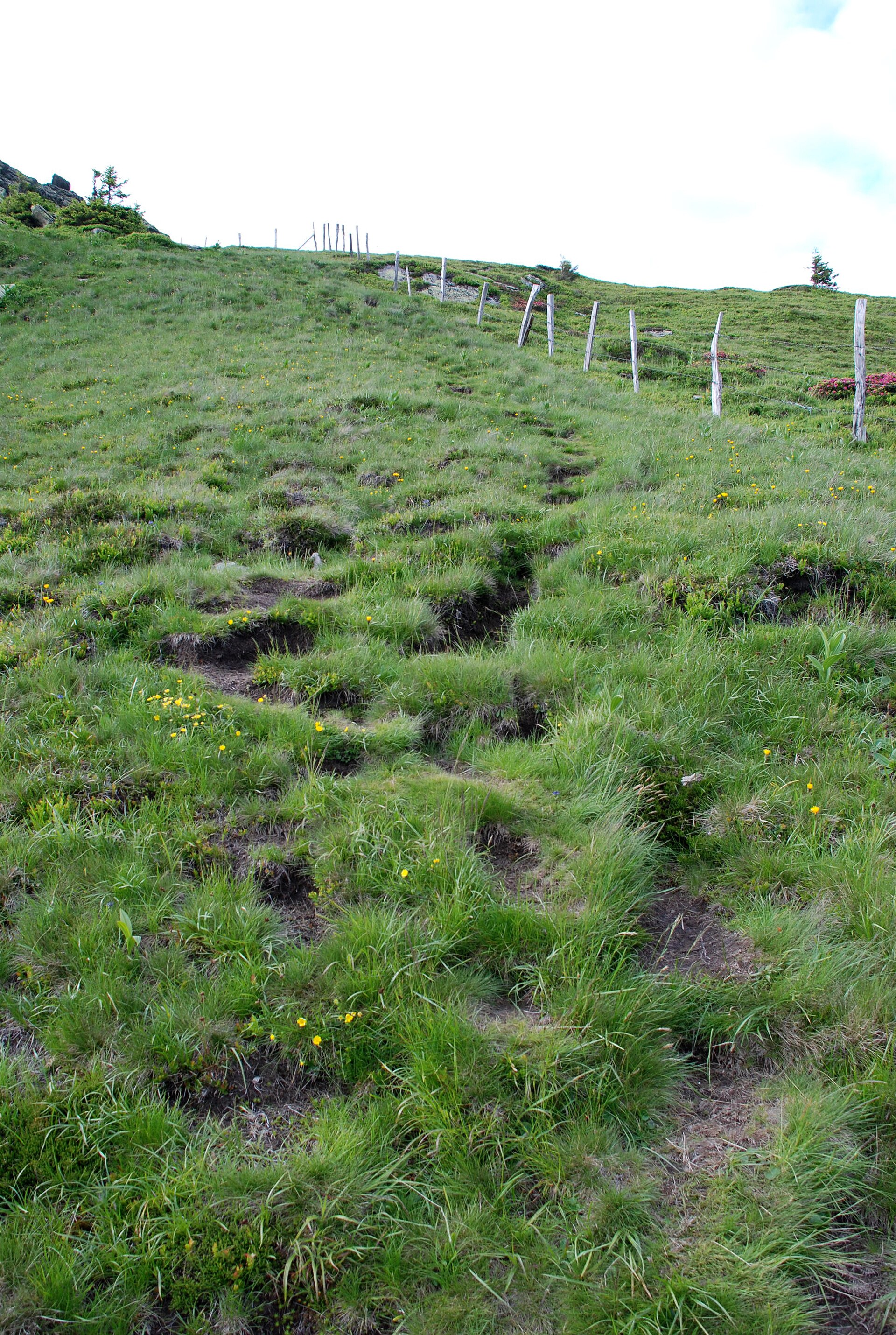 Wandern Motiv2