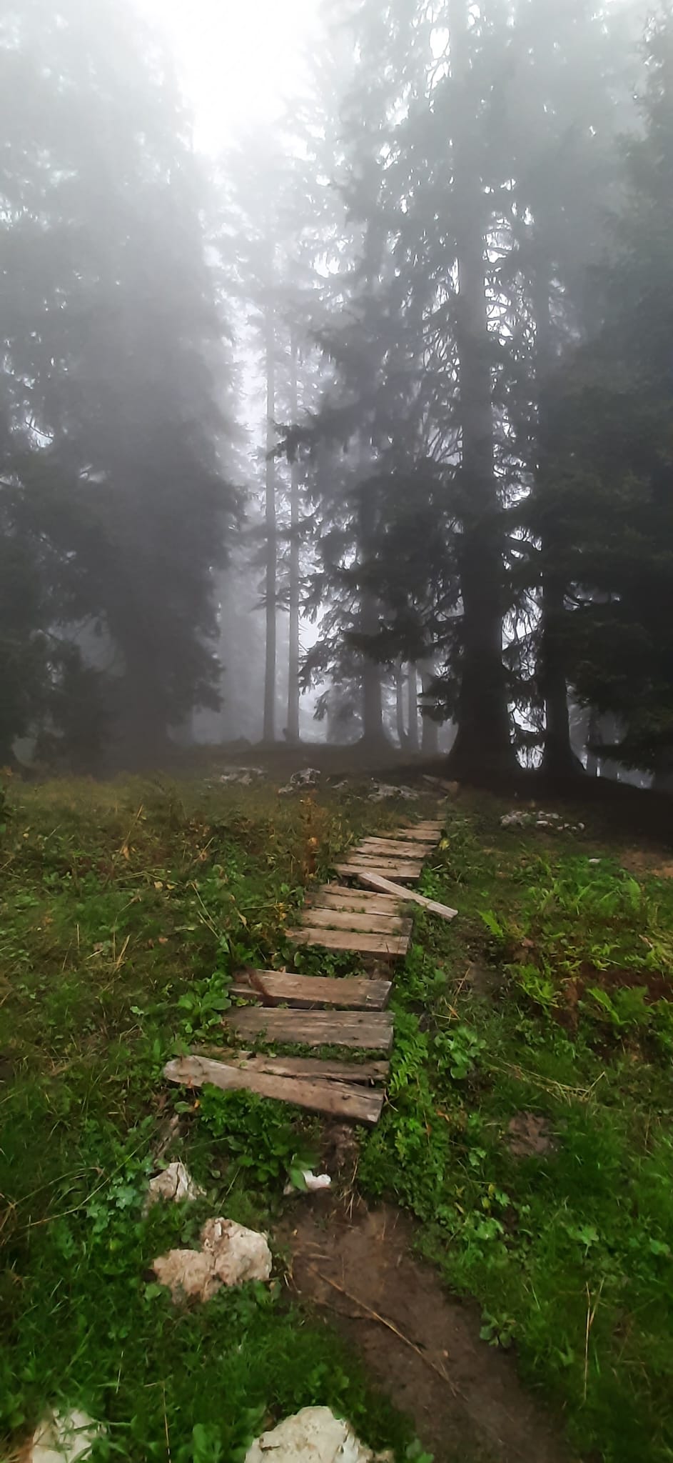 Praxistests auf der Alm – echte Bedingungen